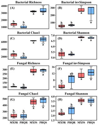 The rootstock genotype shapes the diversity of pecan (Carya illinoinensis) rhizosphere microbial community